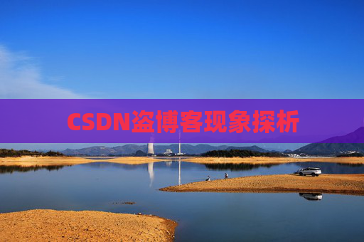 CSDN盗博客现象探析